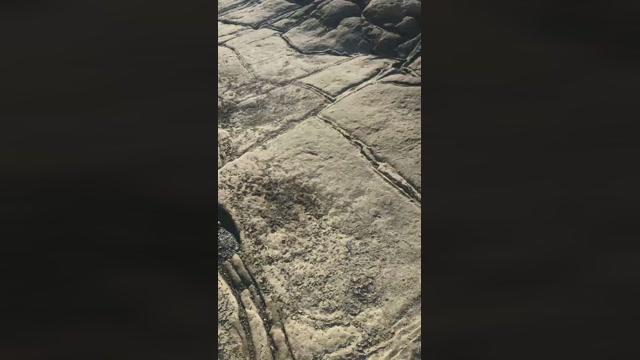 santimunez99  14-08-2022